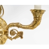 Paire d’appliques du XIXème siècle en bronze doré | Biron Paire d'appliques du XIXème siècle en bronze doré