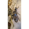 1970′ Table Basse Ou Applique Scarabée Éclairante DLG de Duval Brasseur ou Isabelle Faure Pour Honoré de Paris 90 X 63 c | Biron 1970′ Table Basse Ou Applique Scarabée Éclairante DLG de Duval Brasseur ou Isabelle Faure Pour Honoré de Paris 90 X 63 c