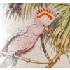 Coussin en lin « perroquets » | Biron Coussin en lin "perroquets"