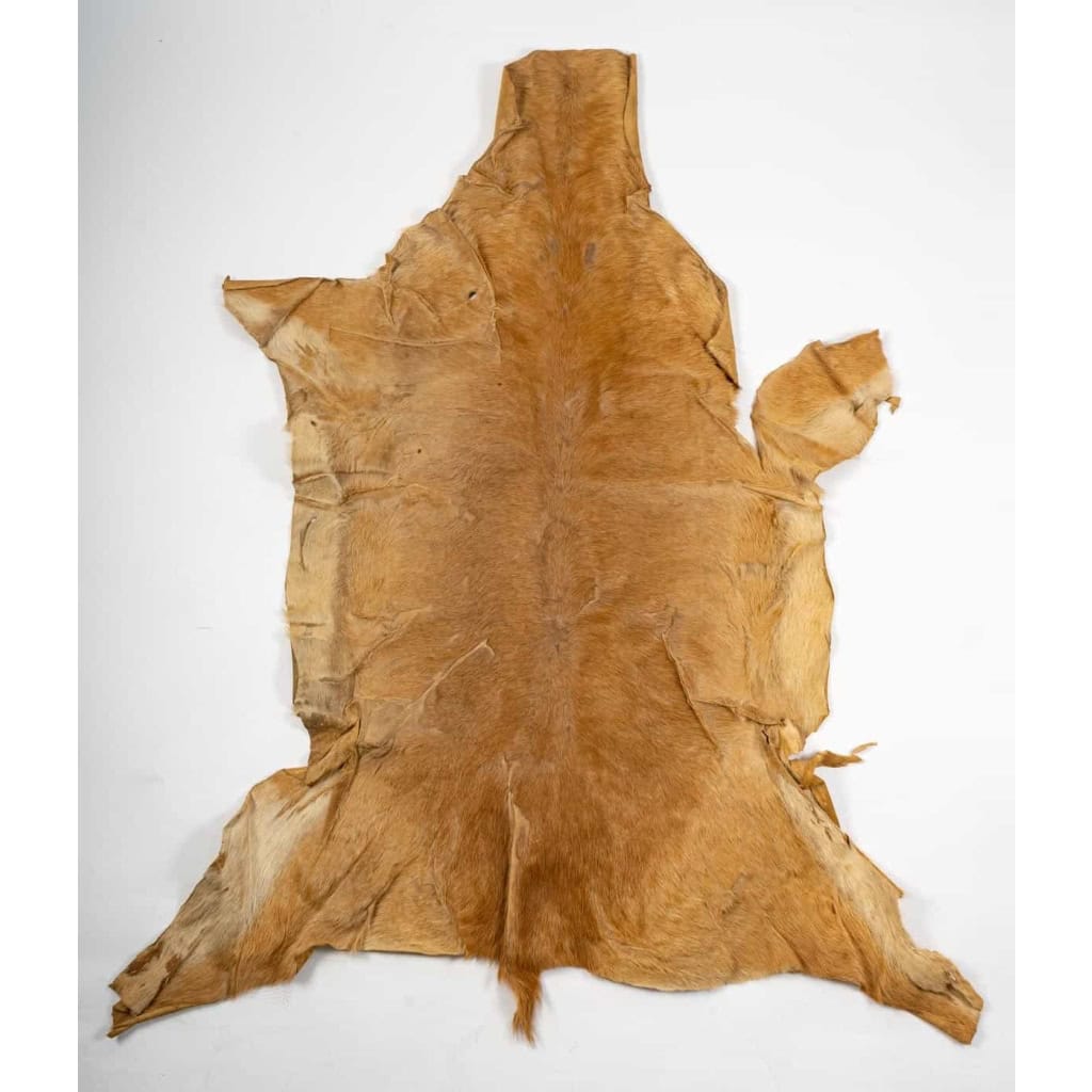 Peau de bête ancienne pour décoration murale | Biron |||||