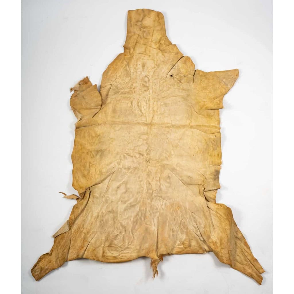 Peau de bête ancienne pour décoration murale | Biron Peau de bête ancienne pour décoration murale