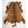 Peau de bête ancienne pour décoration murale | Biron |||||