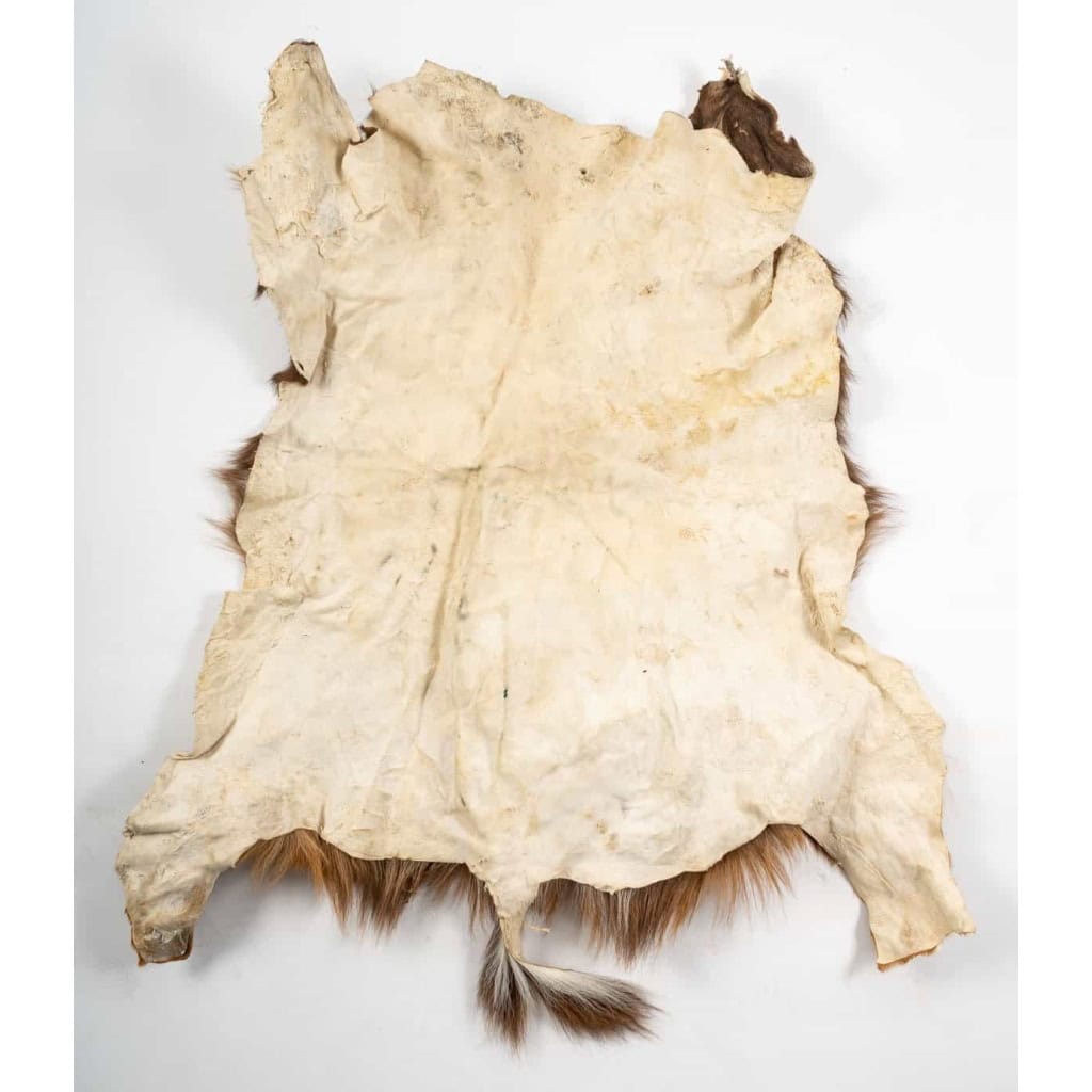 Peau de bête ancienne pour décoration murale | Biron Peau de bête ancienne pour décoration murale