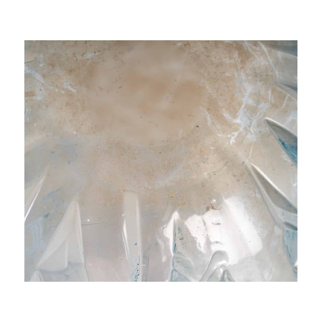 Vase Lalique « Baies » | Biron Vase Lalique "Baies"
