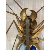 1970′ Table Basse Ou Applique Scarabée Avec Agates Bleues Éclairante DLG de Duval Brasseur ou Isabelle Faure Pour Honoré | Biron 1970′ Table Basse Ou Applique Scarabée Avec Agates Bleues Éclairante DLG de Duval Brasseur ou Isabelle Faure Pour Honoré