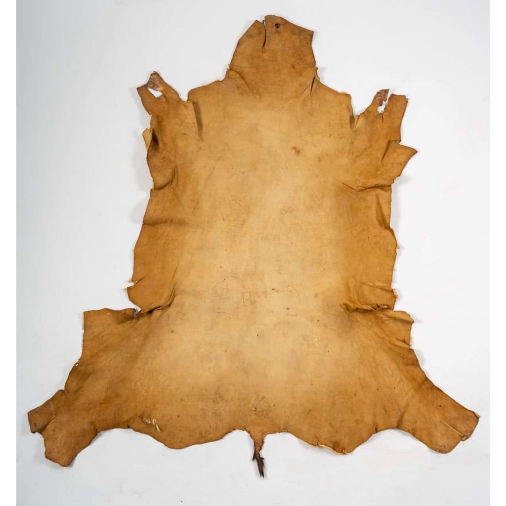 Peau de bête ancienne pour décoration murale | Biron Peau de bête ancienne pour décoration murale