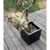1970′ Sculpture Végétale,Philodendron Par Teychoueres Pour Maison Jansen Paris 205 H X Ø 100 cm | Biron 1970′ Sculpture Végétale,Philodendron Par Teychoueres Pour Maison Jansen Paris 205 H X Ø 100 cm