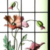 Vitrail vitraux iris et pavots | Biron Vitrail vitraux iris et pavots