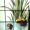 Vitrail vitraux iris et pavots | Biron Vitrail vitraux iris et pavots