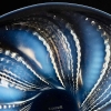 Coupe « Fleuron » verre opalescent de René LALIQUE | Biron Coupe "Fleuron" verre opalescent de René LALIQUE