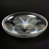 Coupe « Volubilis » verre opalescent de René LALIQUE | Biron ||||||
