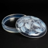 Boite « Cléones » verre opalescent de René LALIQUE | Biron Boite "Cléones" verre opalescent de René LALIQUE