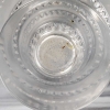 Service « Vouvray » verre blanc de René LALIQUE – 42 pièces | Biron Service "Vouvray" verre blanc de René LALIQUE - 42 pièces