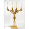 Paire de candélabres à 4 bras de lumières. XIXème siècle. | Biron Paire de candélabres à 4 bras de lumières. XIXème siècle.