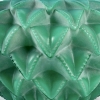 Vase « Languedoc » verre multicouches vert jade de René LALIQUE | Biron Vase "Languedoc" verre multicouches vert jade de René LALIQUE