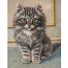 Tableau d’un chat de Burkhord Katzen | Biron Tableau d'un chat de Burkhord Katzen