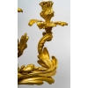 Paire de candélabres Louis XV par Henri VIAN, Circa 1890.