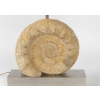1970 Lampe en Métal Argenté et Ammonite Willy Daro | Biron 1970 Lampe en Métal Argenté et Ammonite Willy Daro