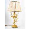 Lampe en bronze doré fin XIXème siècle | Biron |||||||||