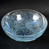 Coupe « Chiens » verre opalescent patiné bleu de René LALIQUE | Biron Coupe "Chiens" verre opalescent patiné bleu de René LALIQUE