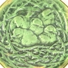 Broche « Nid d’Oiseaux » verre blanc patiné gris sur clinquant vert de René LALIQUE | Biron Broche "Nid d'Oiseaux" verre blanc patiné gris sur clinquant vert de René LALIQUE