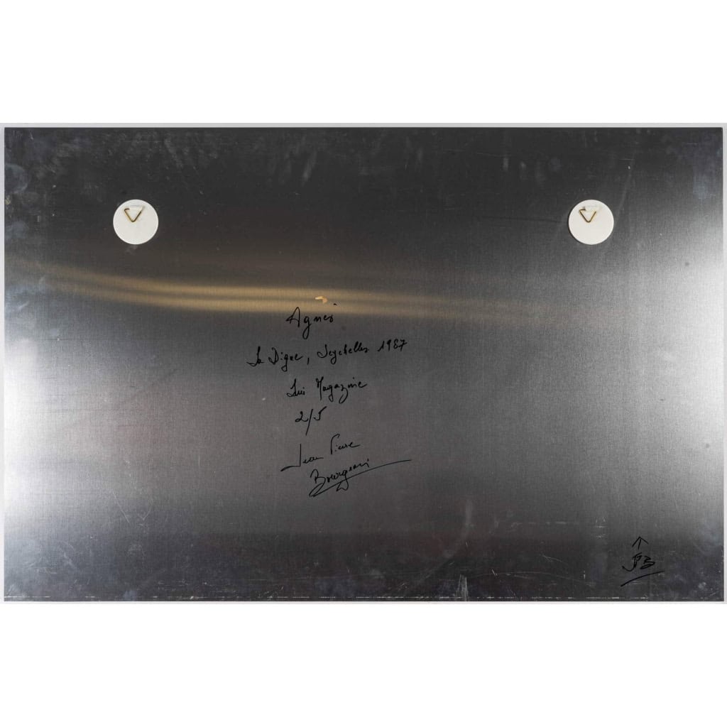 Paire de photos sur aluminium, XXème siècle 12