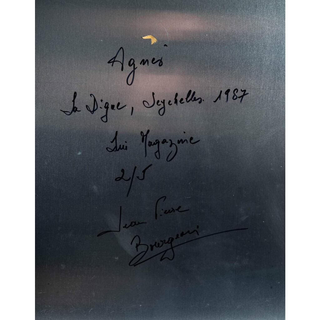 Paire de photos sur aluminium, XXème siècle 13