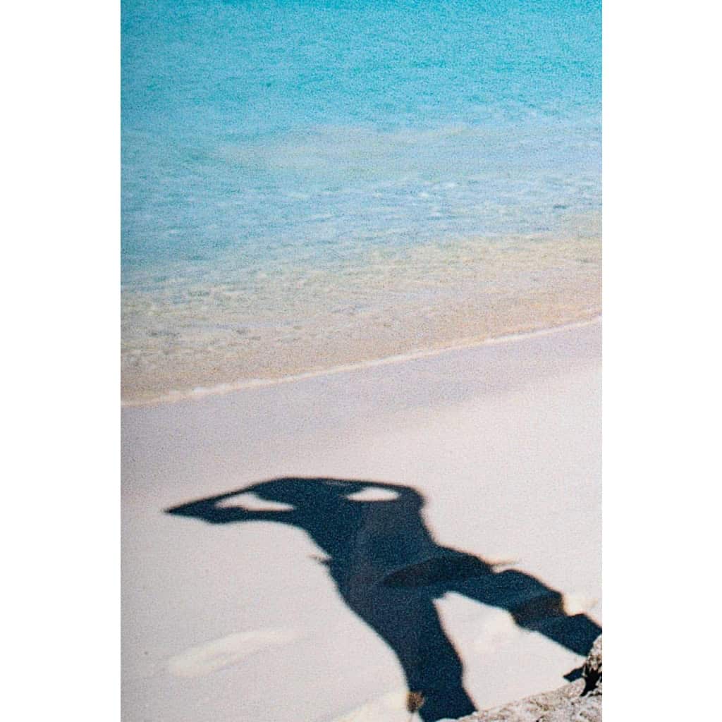 Paire de photos sur aluminium, XXème siècle 4
