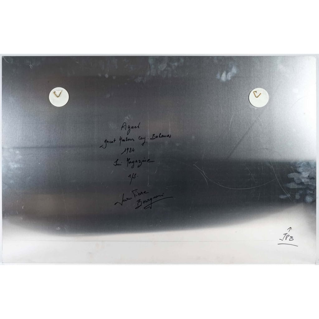 Paire de photos sur aluminium, XXème siècle 6