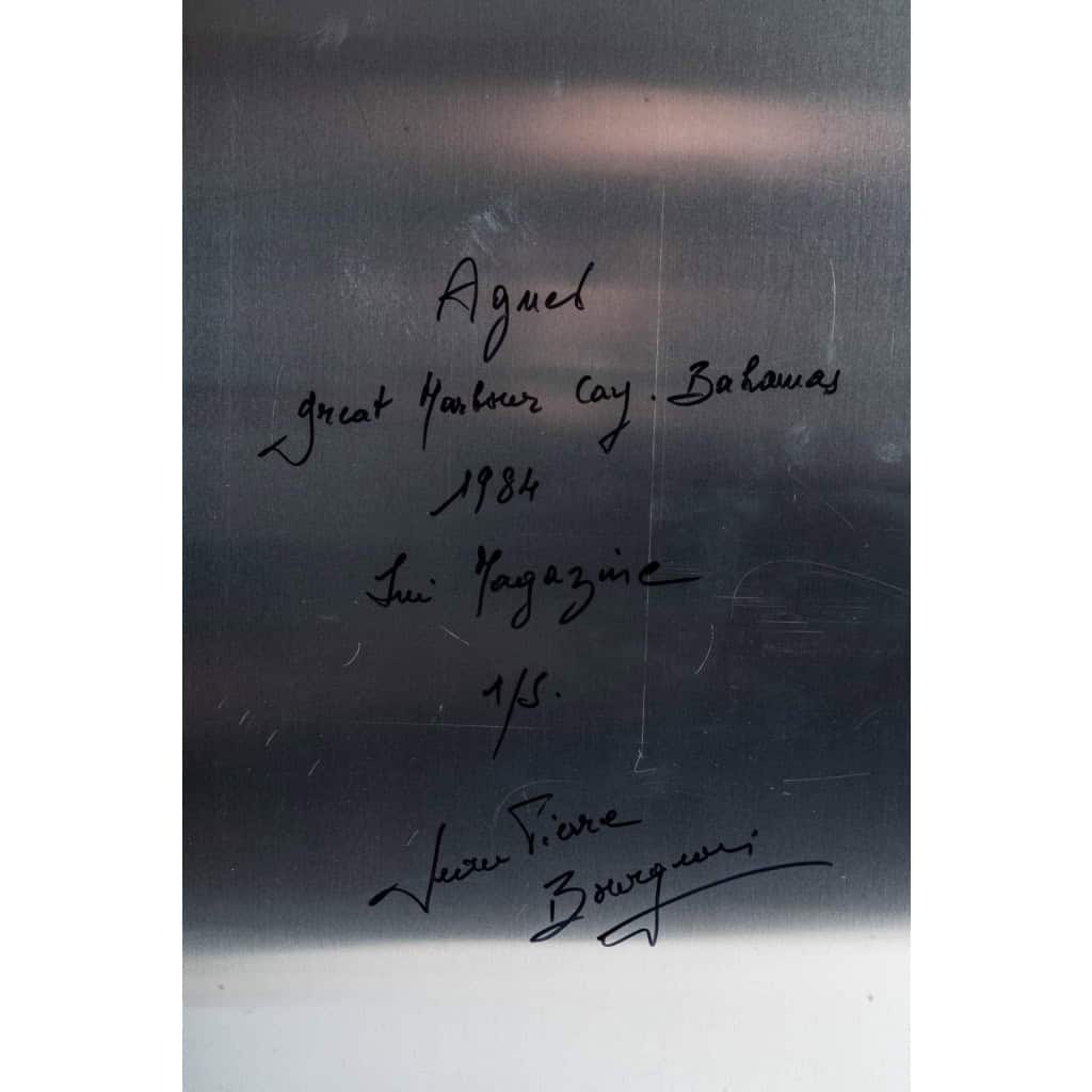 Paire de photos sur aluminium, XXème siècle 7