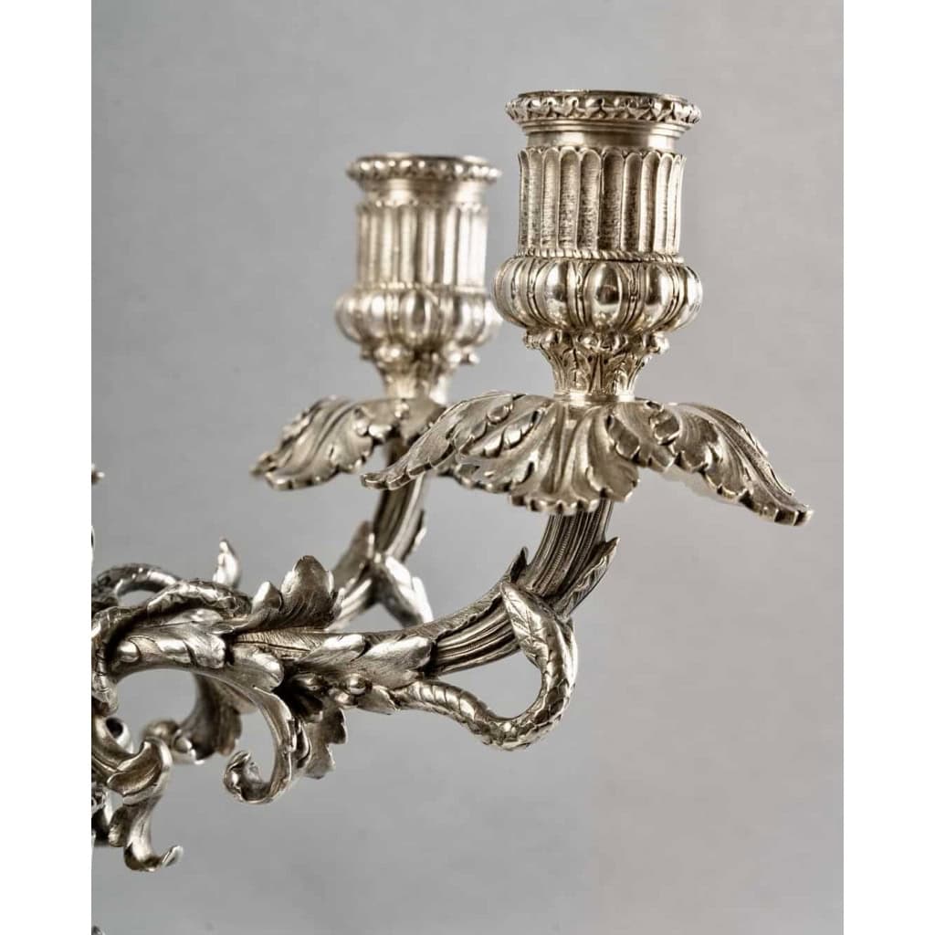 Paire de Candélabres Bougeoirs "Serpents dans les Feuillages" argent massif de WOLFERS