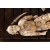 Sculpture japonaise en ivoire de Mammouth sur socle en bois, Fin XIXème siècle | Biron Sculpture japonaise en ivoire de Mammouth sur socle en bois, Fin XIXème siècle