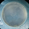 Vase « Plumes » verre opalescent patiné bleu de René LALIQUE | Biron Vase « Plumes » verre opalescent patiné bleu de René LALIQUE