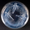  Boîte « Libellules » en verre opalescent de René LALIQUE | Biron ||||||
