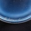  Boîte « Libellules » en verre opalescent de René LALIQUE | Biron   Boîte "Libellules" en verre opalescent de René LALIQUE