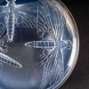  Boîte « Libellules » en verre opalescent de René LALIQUE | Biron   Boîte "Libellules" en verre opalescent de René LALIQUE