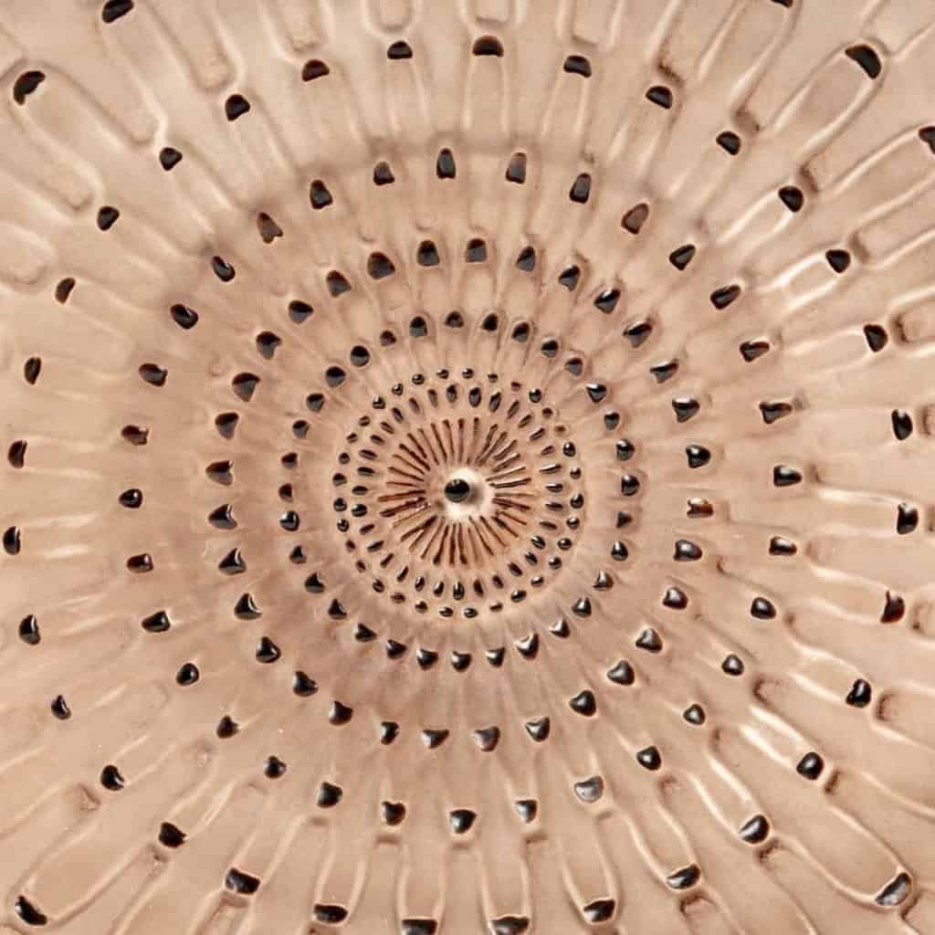 Carafe « Reine Marguerite » verre blanc patiné sépia et émaillé marron de René LALIQUE 3 Carafe « Reine Marguerite » verre blanc patiné sépia et émaillé marron de René LALIQUE 3