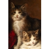 Jules Gustave Leroy (1856 – 1921) : Famille de chats à la pelote de laine. | Biron Jules Gustave Leroy (1856 - 1921) : Famille de chats à la pelote de laine.