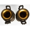 Paire de vases en bronze patiné et intérieur cristal , XIXème siècle | Biron Paire de vases en bronze patiné et intérieur cristal , XIXème siècle