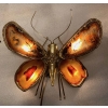 1970’Applique Papillon en Bronze ou Laiton, Duval Brasseur Ou Isabelle Faure, 4 Ampoules, Ailes d’Agate : 33 X Hauteur 2 | Biron |||||||||||