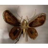 1970’Applique Papillon en Bronze ou Laiton, Duval Brasseur Ou Isabelle Faure, 4 Ampoules, Ailes d’Agate : 33 X Hauteur 2 | Biron 1970’Applique Papillon en Bronze ou Laiton, Duval Brasseur Ou Isabelle Faure, 4 Ampoules, Ailes d’Agate : 33 X Hauteur 2