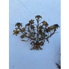 1880′ Paire d’Appliques en Bronze Doré Patiné à Décor Floral 5 Bras de Lumière | Biron 1880′ Paire d’Appliques en Bronze Doré Patiné à Décor Floral 5 Bras de Lumière