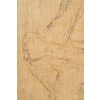 Dessin en transparence sur toile, XXème siècle