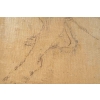 Dessin en transparence sur toile, XXème siècle
