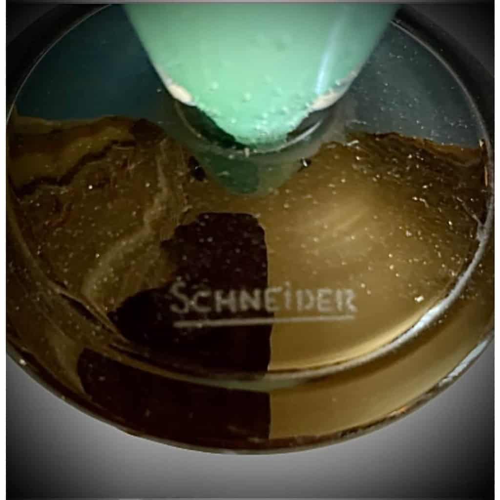 VASE DE SCHNEIDER