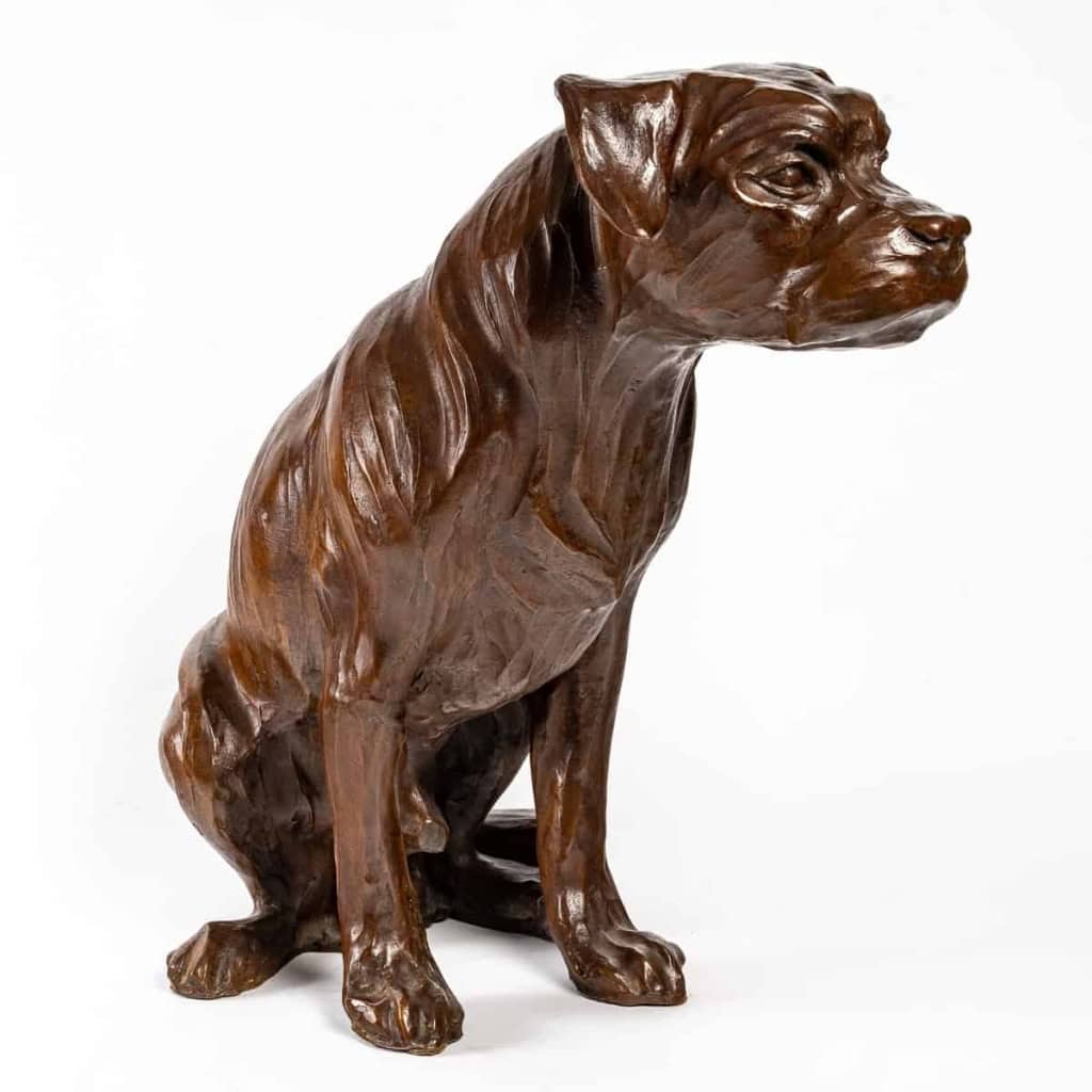 Border Terrier en bronze , XXème siècle | Biron |||||||