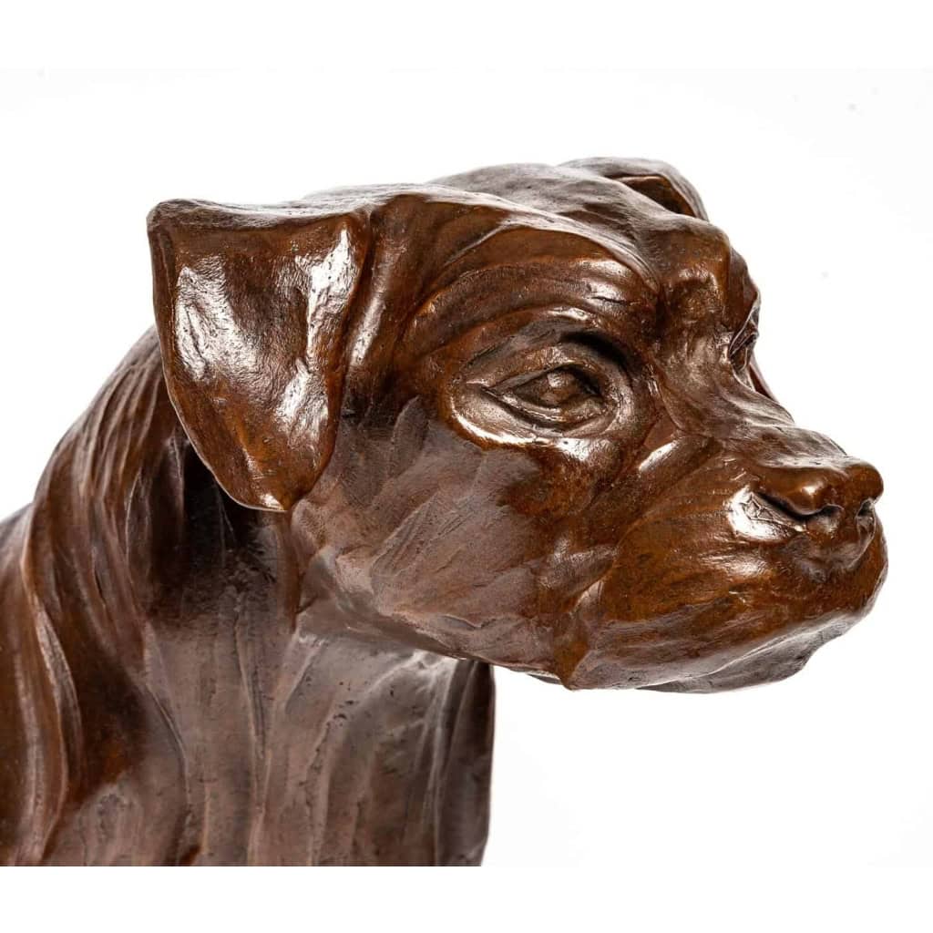 Border Terrier en bronze , XXème siècle | Biron Border Terrier en bronze , XXème siècle