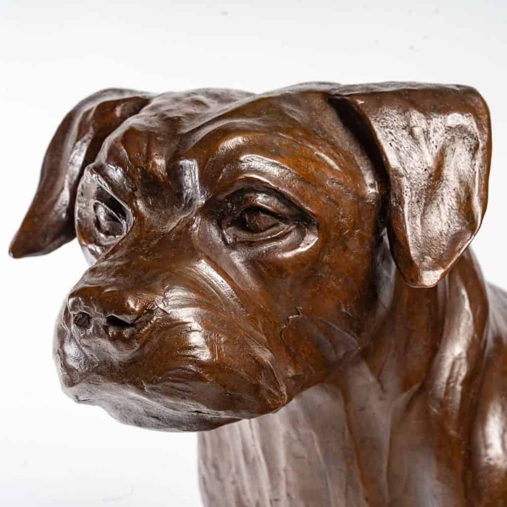 Border Terrier en bronze , XXème siècle | Biron Border Terrier en bronze , XXème siècle