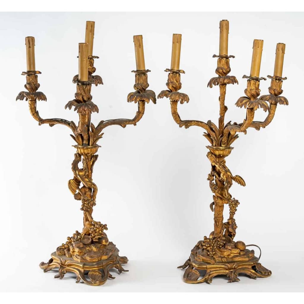 Paire de candélabres du XIXème siècle en bronze doré | Biron |||||||||||