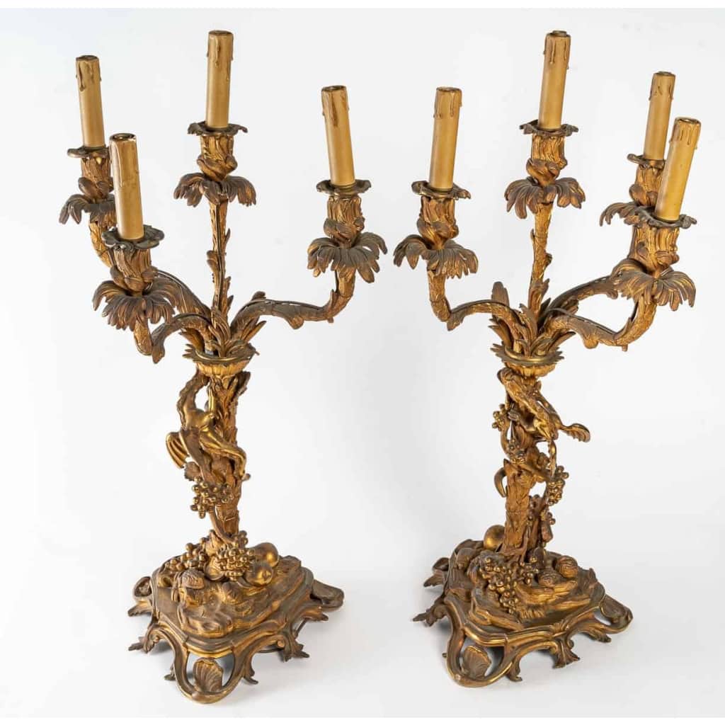 Paire de candélabres du XIXème siècle en bronze doré | Biron Paire de candélabres du XIXème siècle en bronze doré